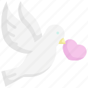 dove, wedding, love, pigeon, bird