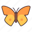 butterfly, insect, moth, animal 