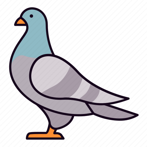 Pigeon, dove icon - Download on Iconfinder on Iconfinder