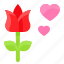 flora, flower, love, romance, romantic, tulip 