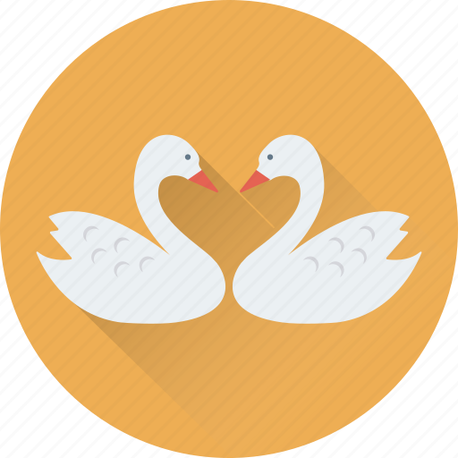 Animal, bird, duck, in love, kissing icon - Download on Iconfinder