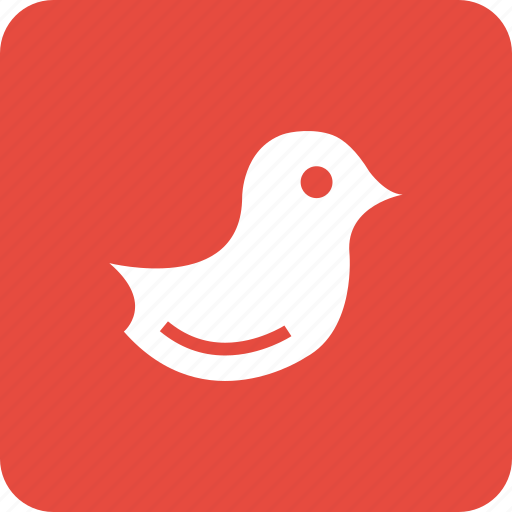 Bird, dove, invitation, love, pigeon, wedding icon - Download on Iconfinder