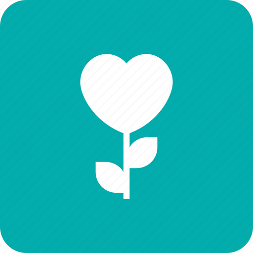 Heart, leaf, love, nature, plant, romance, tree icon - Download on Iconfinder