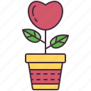 love, plant, pot, valentines, romantic, heart, tree, leaf, nature