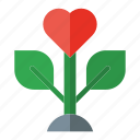 love, plant, ecology, leave, love and romance, valentines, valentines day, heart, growth