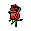 red, roses, love, heart, valentine, romantic