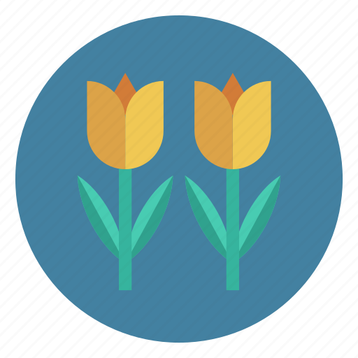 Bloom, flower, love, rose, valentine icon - Download on Iconfinder