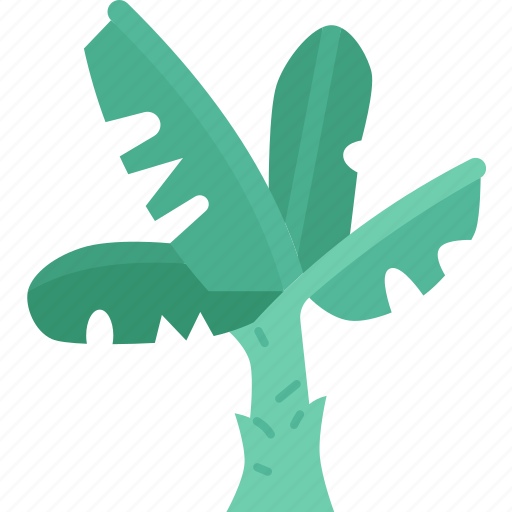 Banana, tree, leaf, plant, natural icon - Download on Iconfinder