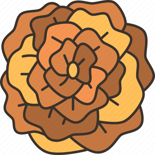 Marigold, flower, floral, petal, decoration icon - Download on Iconfinder
