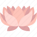 lotus, flower, floral, emblem, macau