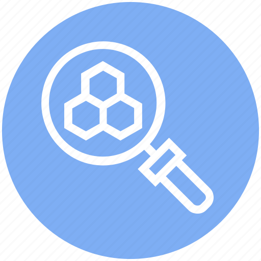 Bees, find, glass, magnifier, magnifying glass, search, zoom icon - Download on Iconfinder