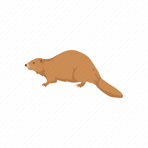Animals, beaver, mammal, mountain beaver, nocturnal mammal, rodent icon - Download on Iconfinder