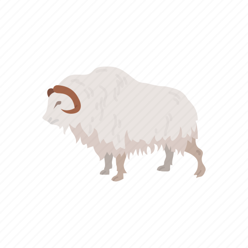 Animal, mammal, musk ox, muskox, sheep-ox icon - Download on Iconfinder