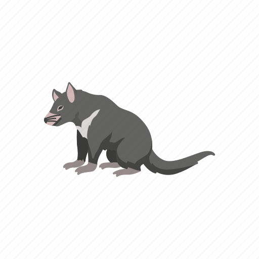 Animals, mammal, omnivore animal, scavenger, tasmanian devil icon - Download on Iconfinder
