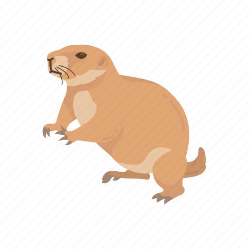 Animal, dog mouse, ground squirrel, mammal, prairie dog, rodent, squirrel icon - Download on Iconfinder
