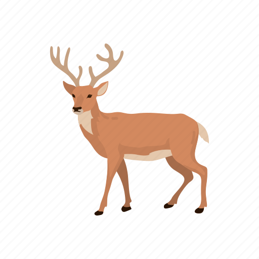 Animal, buck, cheetal, chital, deer, mammal icon - Download on Iconfinder