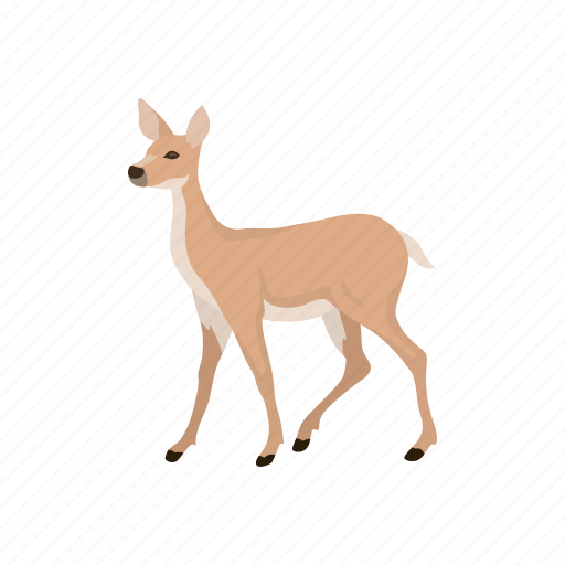 Animal, cheetal, chital, deer, doe, mammal, spotted deer icon - Download on Iconfinder