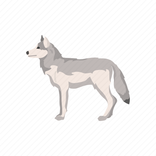 Animals, canine, coywolf, gray wolf, mammals, timber wolf, wolf icon - Download on Iconfinder
