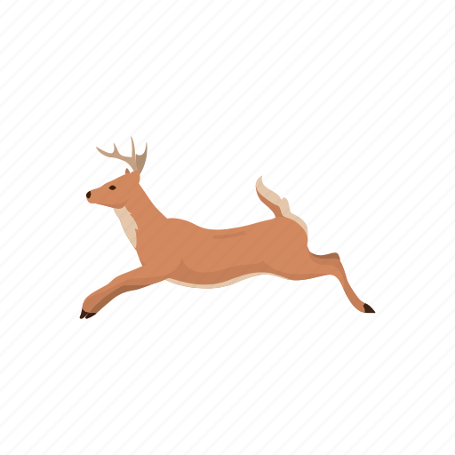 Animals, deer, doe, elk, female deer, mammal, musk deer icon - Download on Iconfinder