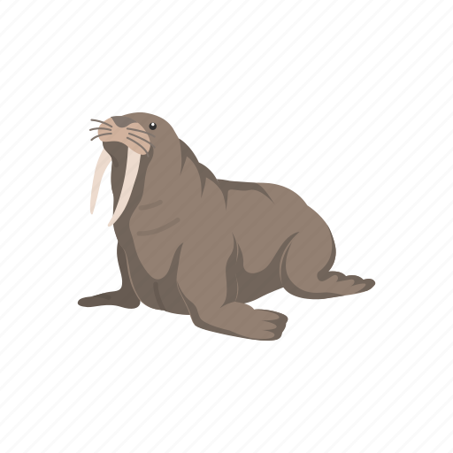 Animals, mammal, marine mammal, tusks, walrus, wild mammal icon - Download on Iconfinder