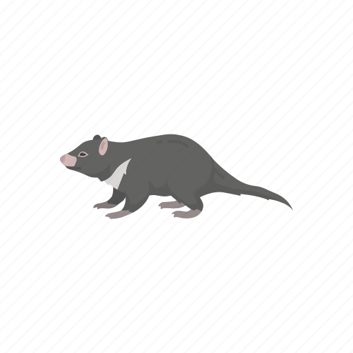 Animal, mammal, rat, scavenger, tasmanian devil, taz icon - Download on Iconfinder