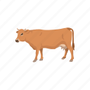 animal, cattle, cow, domestic animal, mammal, taurine cattle