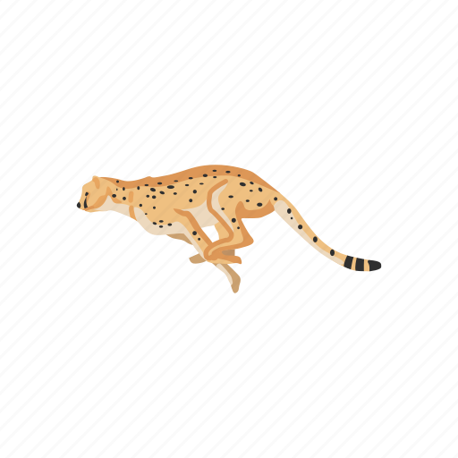 Animal, cheetah, feline, large cat, mammal, wild cat icon - Download on Iconfinder