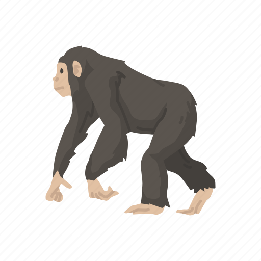 Animal, ape, bonobo, chimpanzee, chimps, mammal icon - Download on Iconfinder