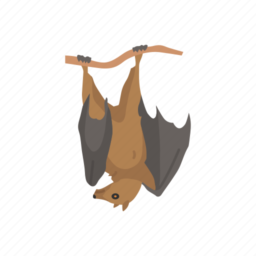 Animal, bat, bumblebee bat, flying fox, mammal, megabats, webbed wings icon - Download on Iconfinder