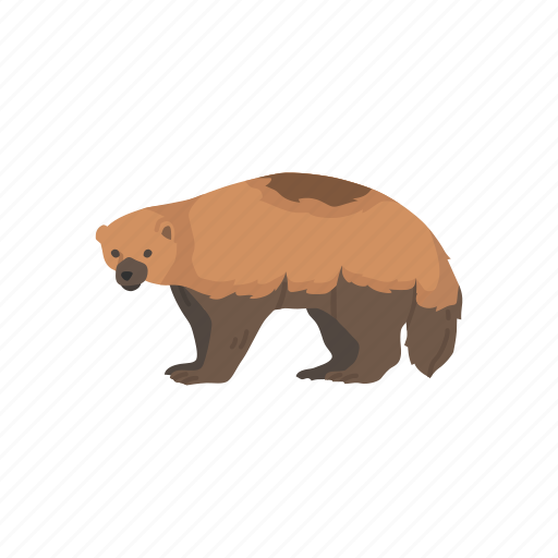 Animals, bear, carcajou, glutton, mammal, wolverene, wolverine icon - Download on Iconfinder