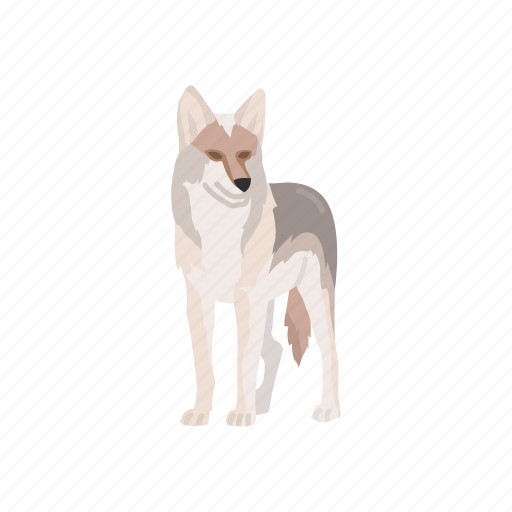 Brush wolf, canine, coyote, gray wolf, male coyote, wolf icon - Download on Iconfinder