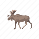 animal, antlers, buck, elk, mammal, wapiti