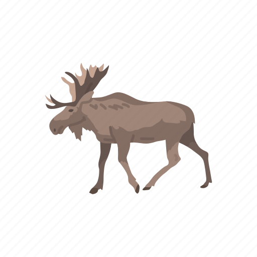Animal, antlers, buck, elk, mammal, wapiti icon - Download on Iconfinder