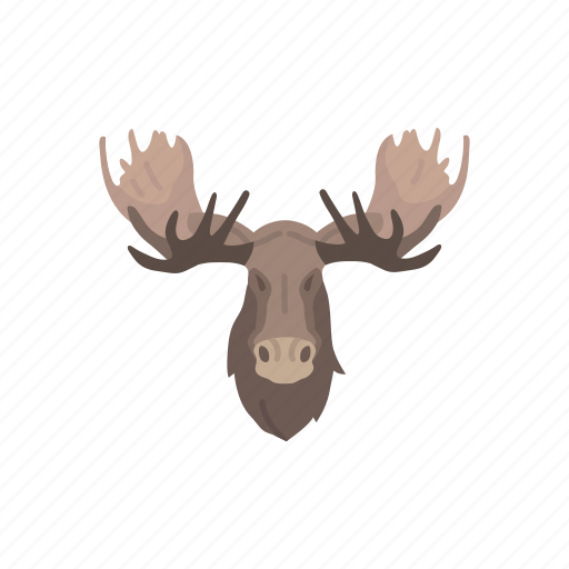 Animal, bull moose, head, mammal, moose, moose antlers, moose head icon - Download on Iconfinder