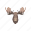 animal, bull moose, head, mammal, moose, moose antlers, moose head 