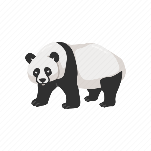 Animal, bear, giant panda, mammal, panda icon - Download on Iconfinder