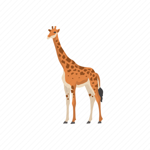 Animal, camelopard, giraffa, giraffe, mammal, tallest animal icon - Download on Iconfinder