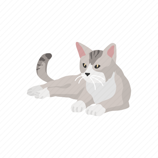 Animal, cat, house cat, kitten, mammal, pet, scottish fold icon - Download on Iconfinder