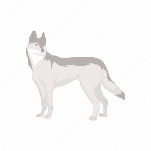 Animal, canine, husky, mammal, pet, siberian husky icon - Download on Iconfinder
