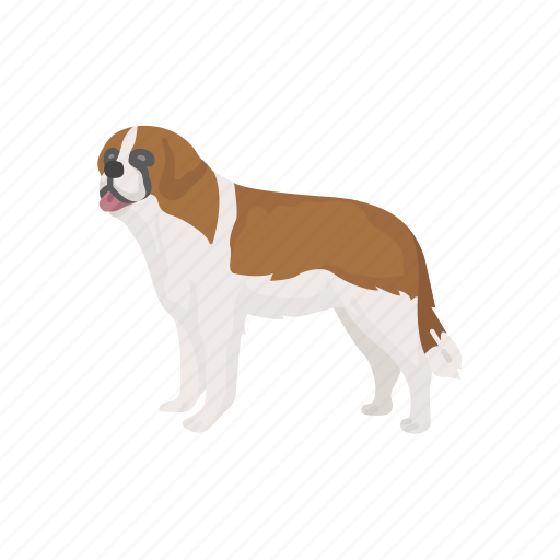 Animal, canine, giant dog, mammal, pet, st.bernard icon - Download on Iconfinder