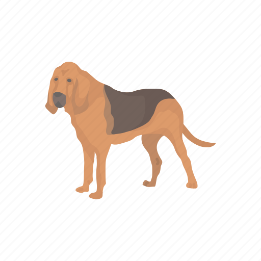 Animal, bloodhound, canine, dog, hunting dog, mammal, pet icon - Download on Iconfinder