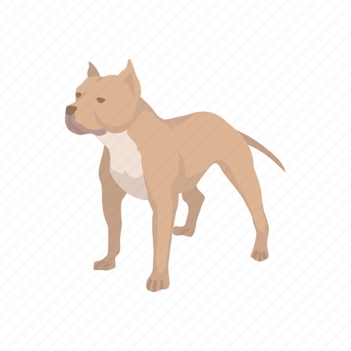 Ameircan pit bull, animal, canine, dog, mammal, pet, pit bull icon - Download on Iconfinder