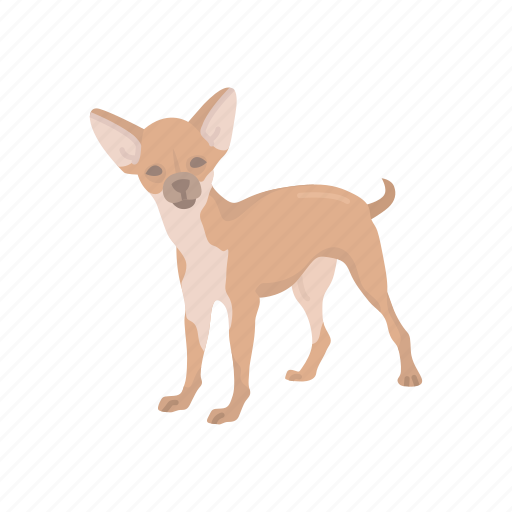 Animals, canine, chihuahua, dog, mammal, pet, teacup dog icon - Download on Iconfinder