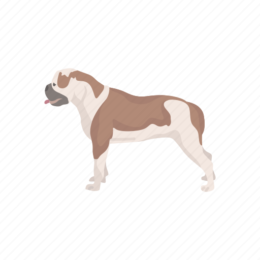 American bulldog, animal, bulldog, canine, dog, mammal, pet icon - Download on Iconfinder