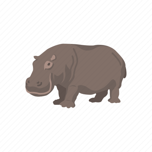 Animal, aquatic mammal, hippo, hippopotami, hippopotamus, mammal icon - Download on Iconfinder
