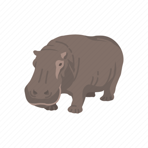 Animal, aquatic animal, hippo, hippopotami, hippopotamus, mammal icon - Download on Iconfinder