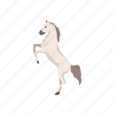 animal, domestic animal, horse, mammal, mare, stallion, white horse