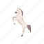 animal, domestic animal, horse, mammal, mare, stallion, white horse 