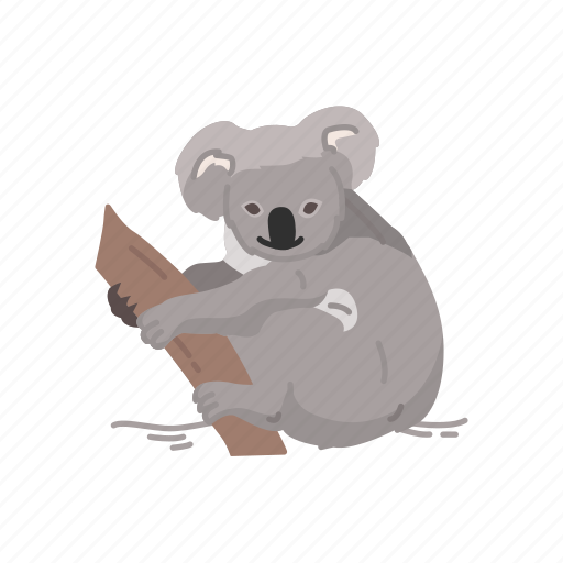 Animal, bear, koala, koala bear, mammal, wombat icon - Download on Iconfinder
