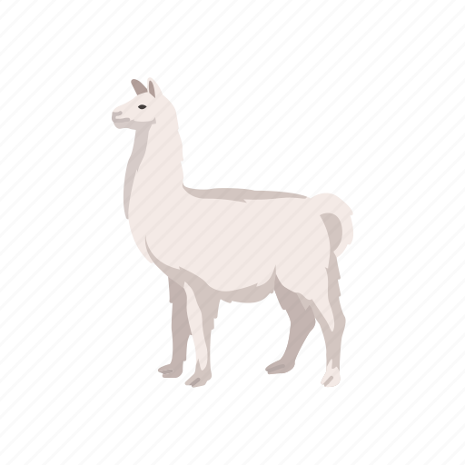 Alpaca, animal, cria, lama glama, llama, mammal, pack animal icon - Download on Iconfinder